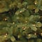 12 Ft. Pre-Lit Feel Real® Downswept Douglas Full Artificial Christmas Tree, Clear Lights